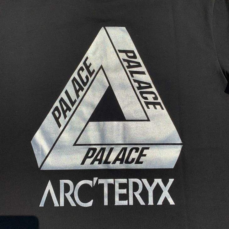 Picture of Arcteryx T Shirts Short _SKUArcteryxXS-LtptxS1022698